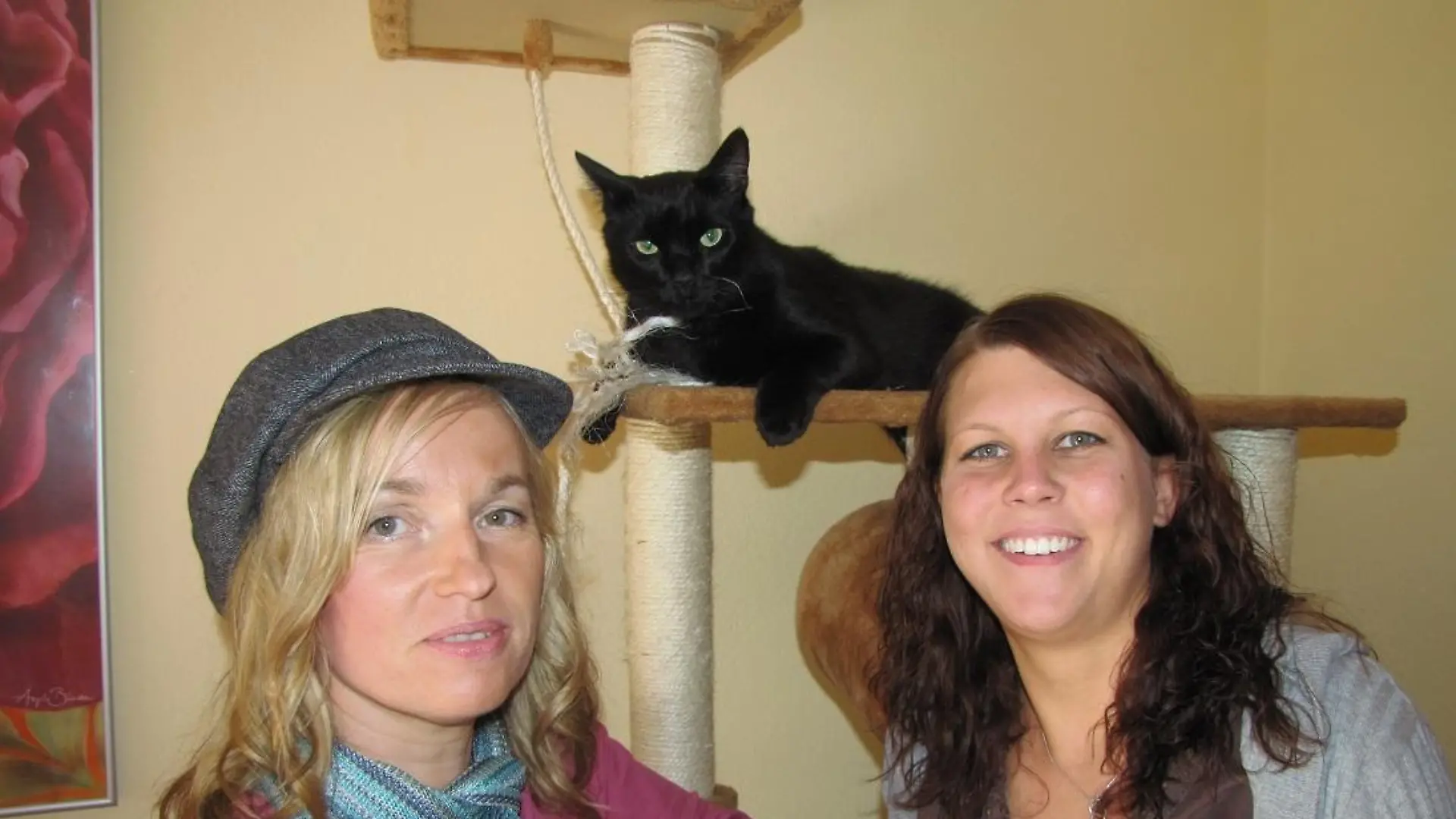 Katzenexpertin - VOX-DOCMA TV - Katzenexpertin Birga Dexel mit Lisa Perau und Kater Mogli