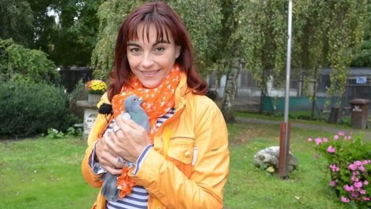 Tiergeschichten2 - VOX-DOCMA TV-HEIKE REINHARDT - Diana informiert sich ber Stadttauben