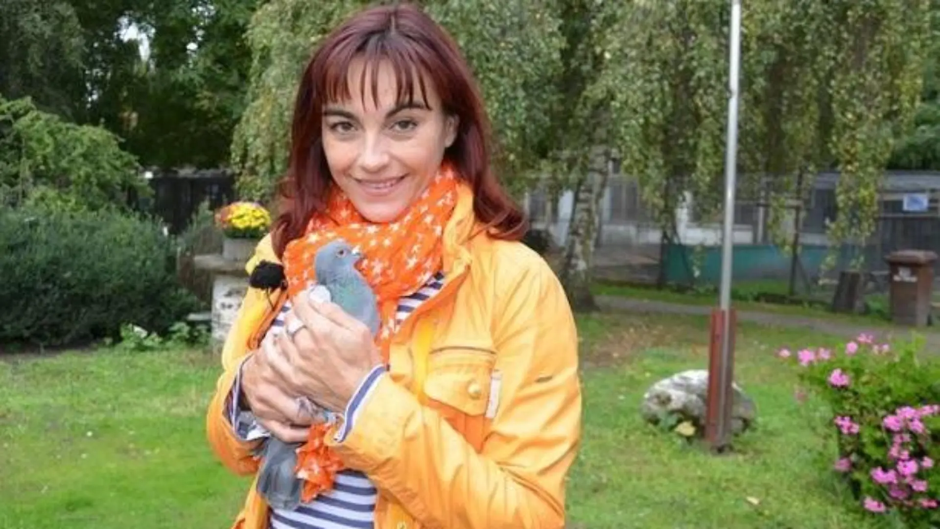 Tiergeschichten2 - VOX-DOCMA TV-HEIKE REINHARDT - Diana informiert sich ber Stadttauben
