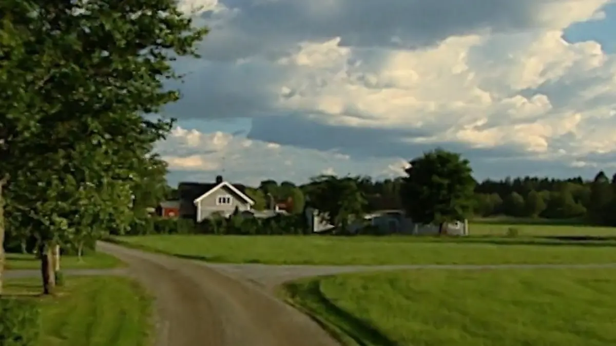bild (56)
