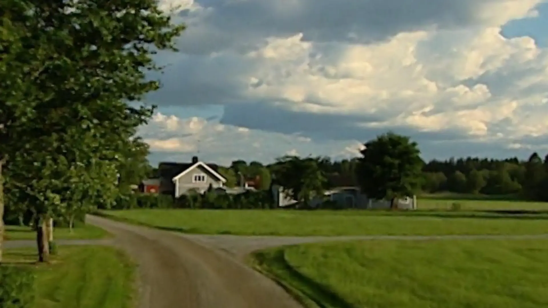 bild (56)