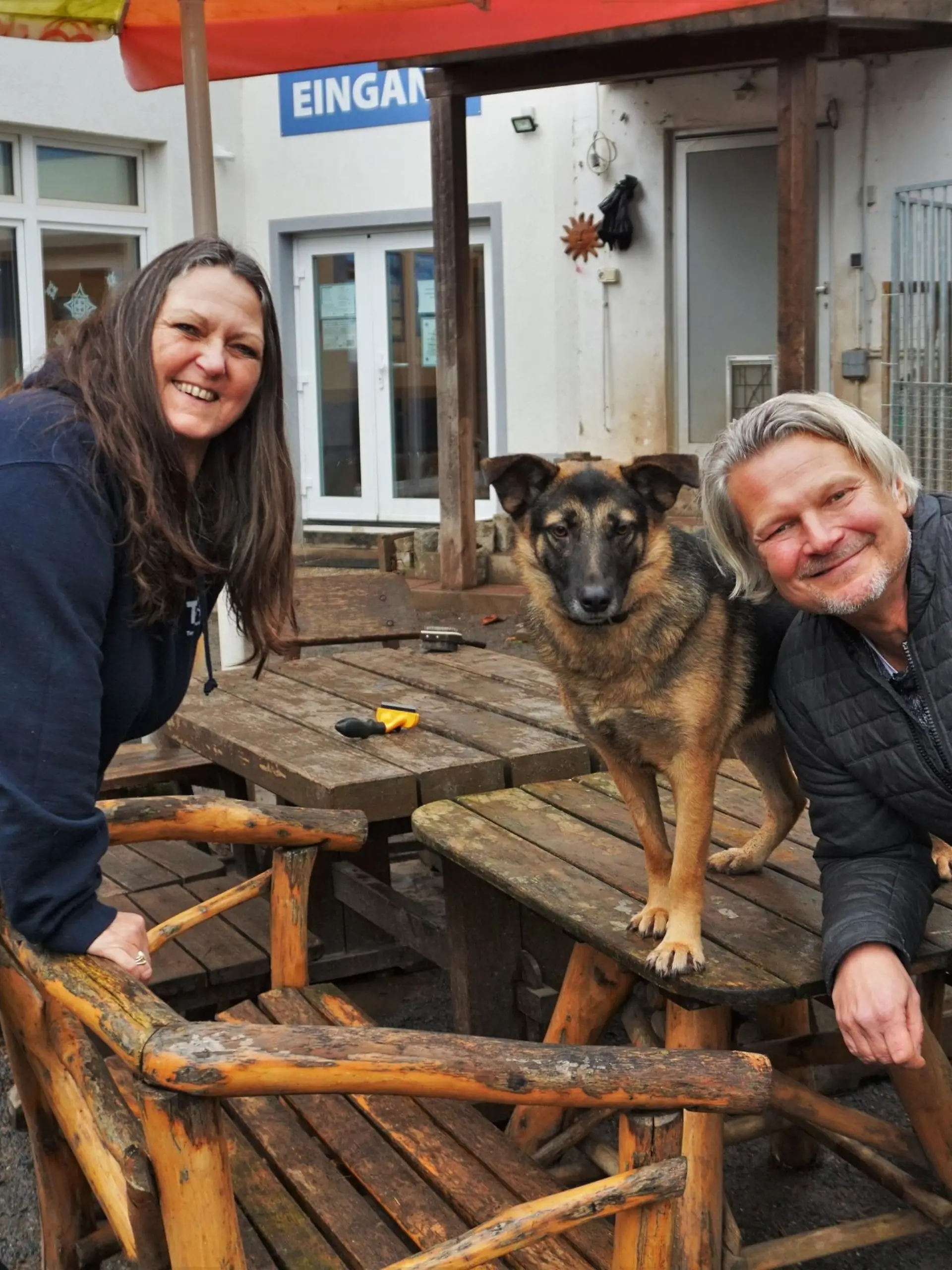 FW Fall Wachhund fr Katzenasyl VOX DOCMA TV