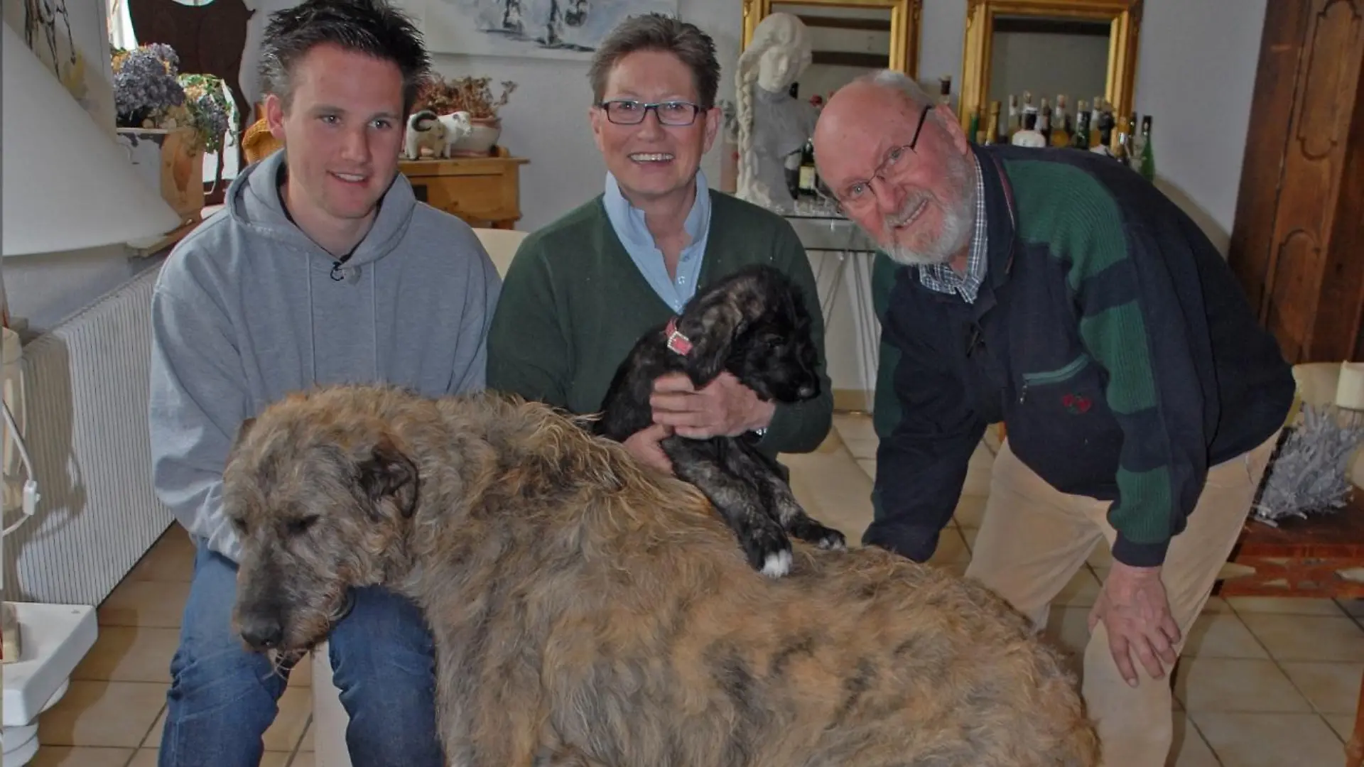 Tiergeschichten3 - VOX-DOCMA TV - Florian und Familie Heitkamp mit Irischen Wolfshunden
