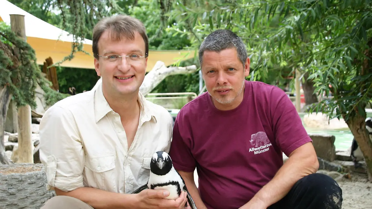 Matthias Reinschmidt im Zoo Gelsenkirchen mit dem verliebtesten Pinguin Deutschlands.