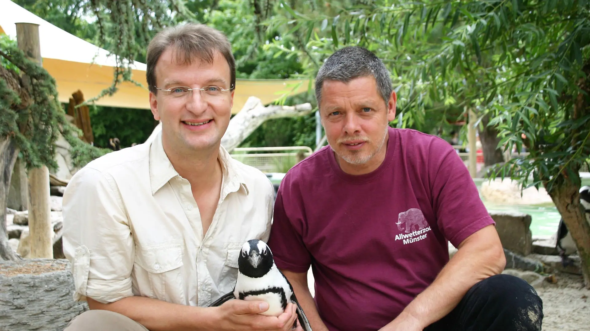 Matthias Reinschmidt im Zoo Gelsenkirchen mit dem verliebtesten Pinguin Deutschlands.
