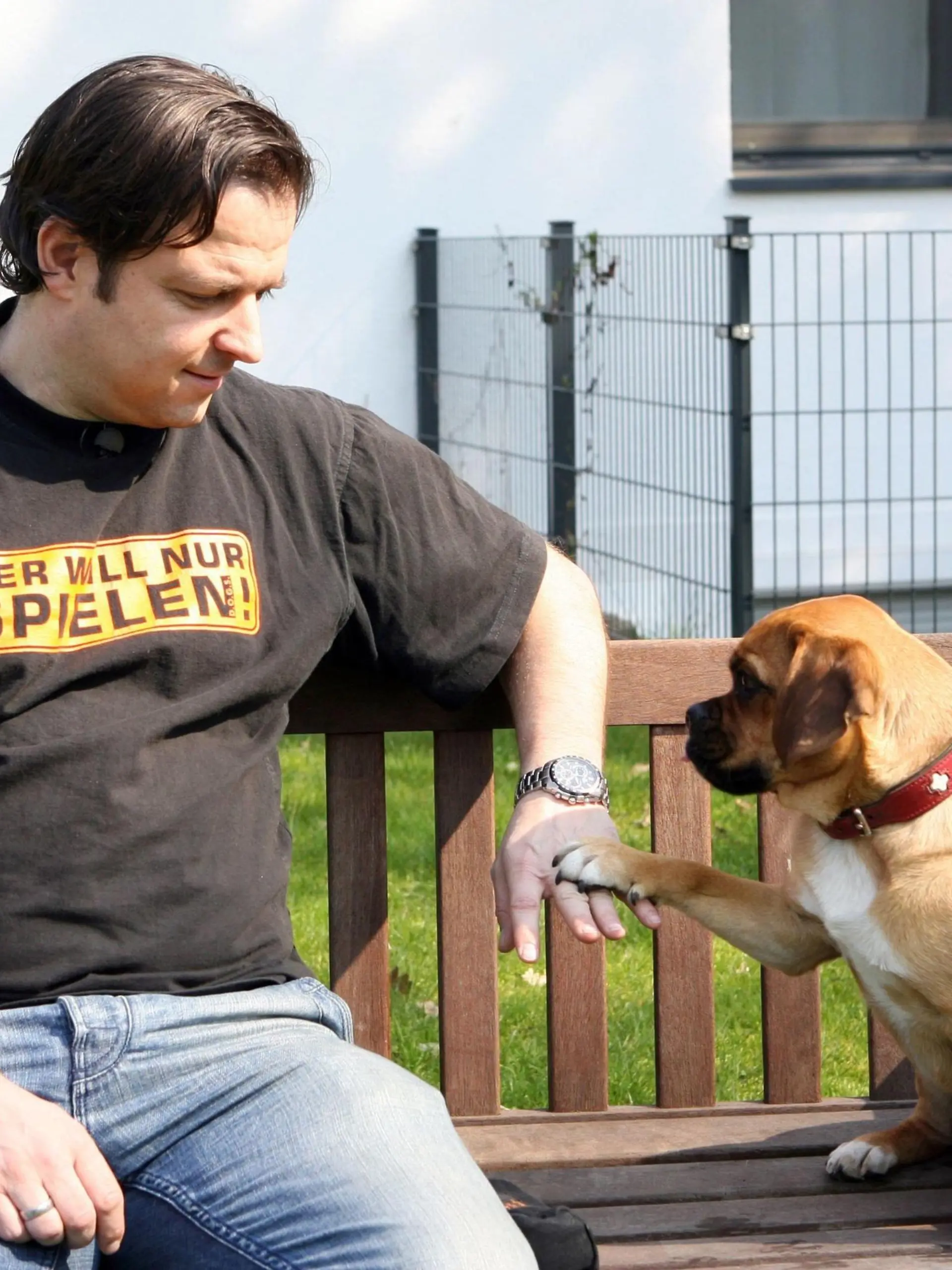 Puggle Paul kennt am Stadtrand von Oberhausen fast jeder. Denn Paul ist der Hund, hinter dem immer jemand her ist und brüllt. Selbst seinen Besitzern gelingt es nicht, dass Paul auf sie hört. Hundeprofi Martin Rütter  soll das ändern.