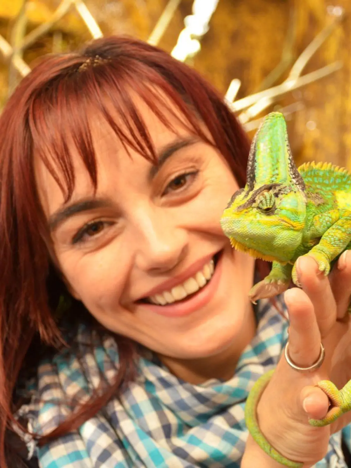Zum Start des Animationsfilms "Rango", indem ein Chamäleon die Titelrolle spielt, begibt sich hundkatzemaus-Reporterin Diana Eichhorn auf die Suche nach dem echten "Rango" - gar nicht so einfach bei einem Tier, das dafür bekannt ist, mit seiner Umgebung zu verschmelzen!