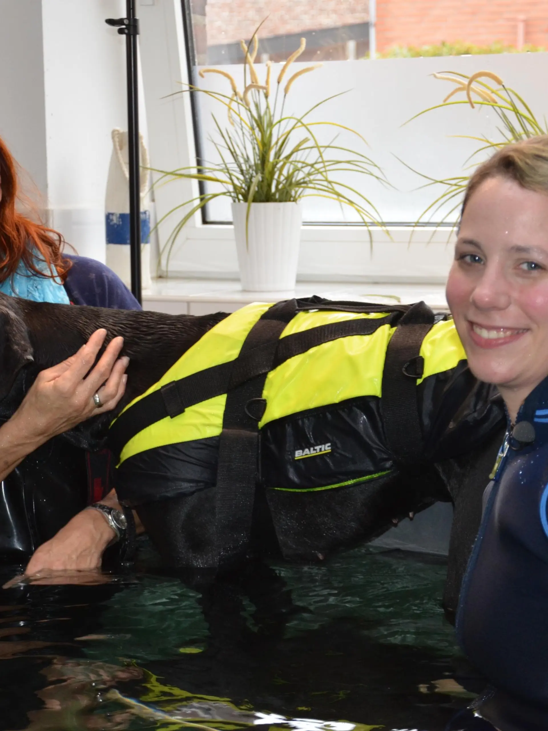 Diana - Hundeschwimmbad VOX DOCMA TV (2)