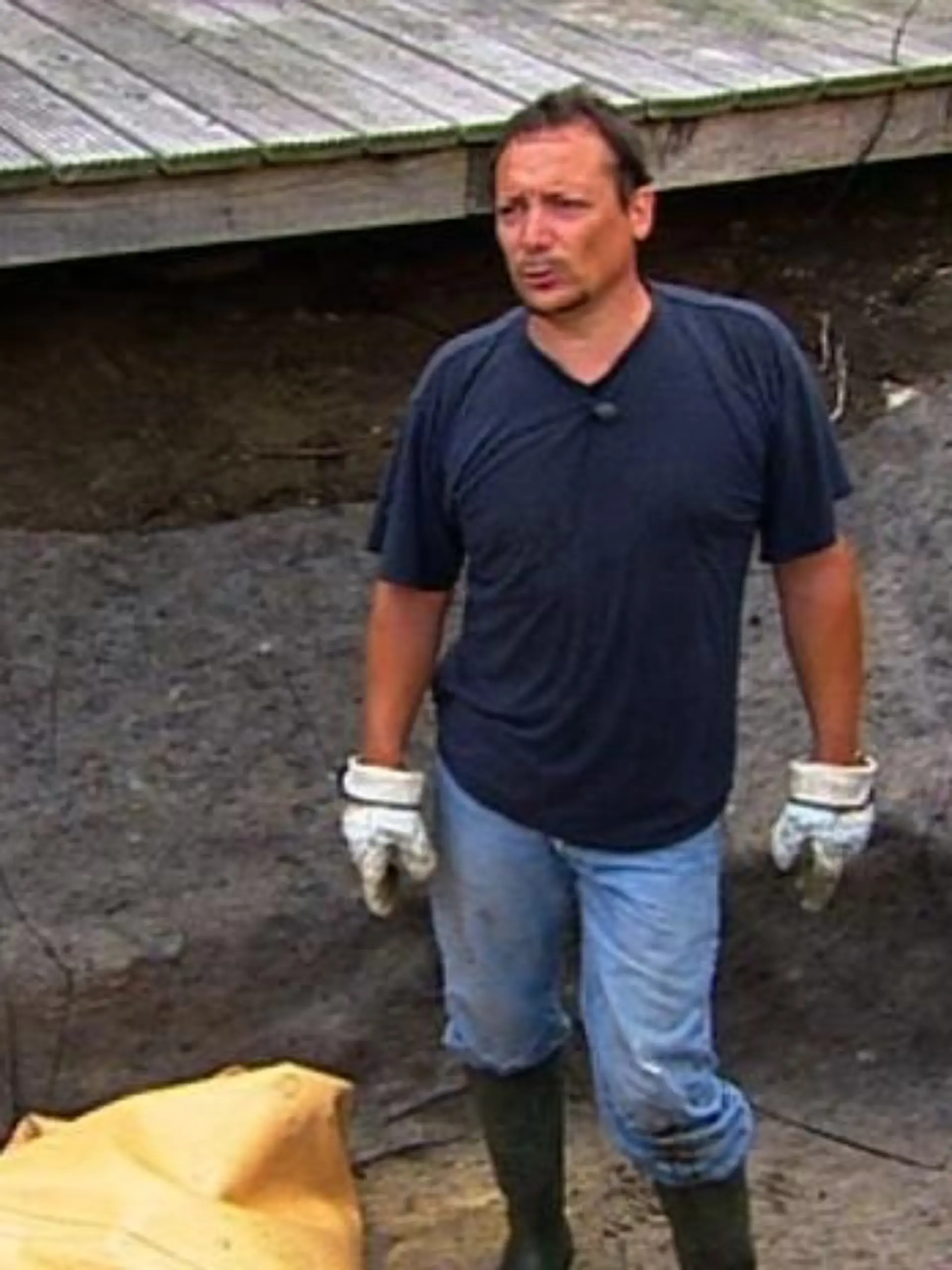 ab ins beet 20110619 ingo