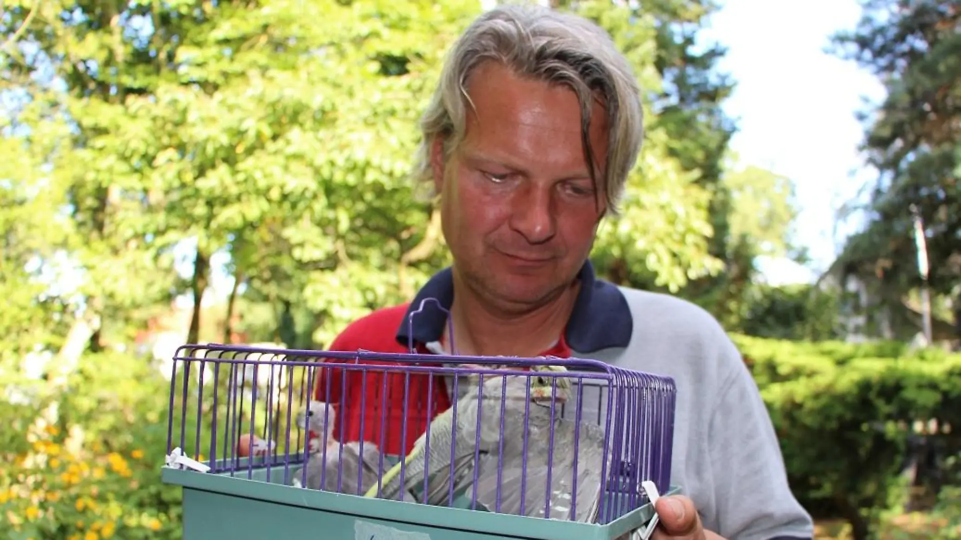 Tiere in Not - VOX-DOCMA TV-CHRISTIAN NEUMANN - 25 kranke Wellen- und Nymphensittiche suchen dringend einen neue Bleibe. Ein Fall fr hundkatzemaus-Tierschutzexperte Frank Weber