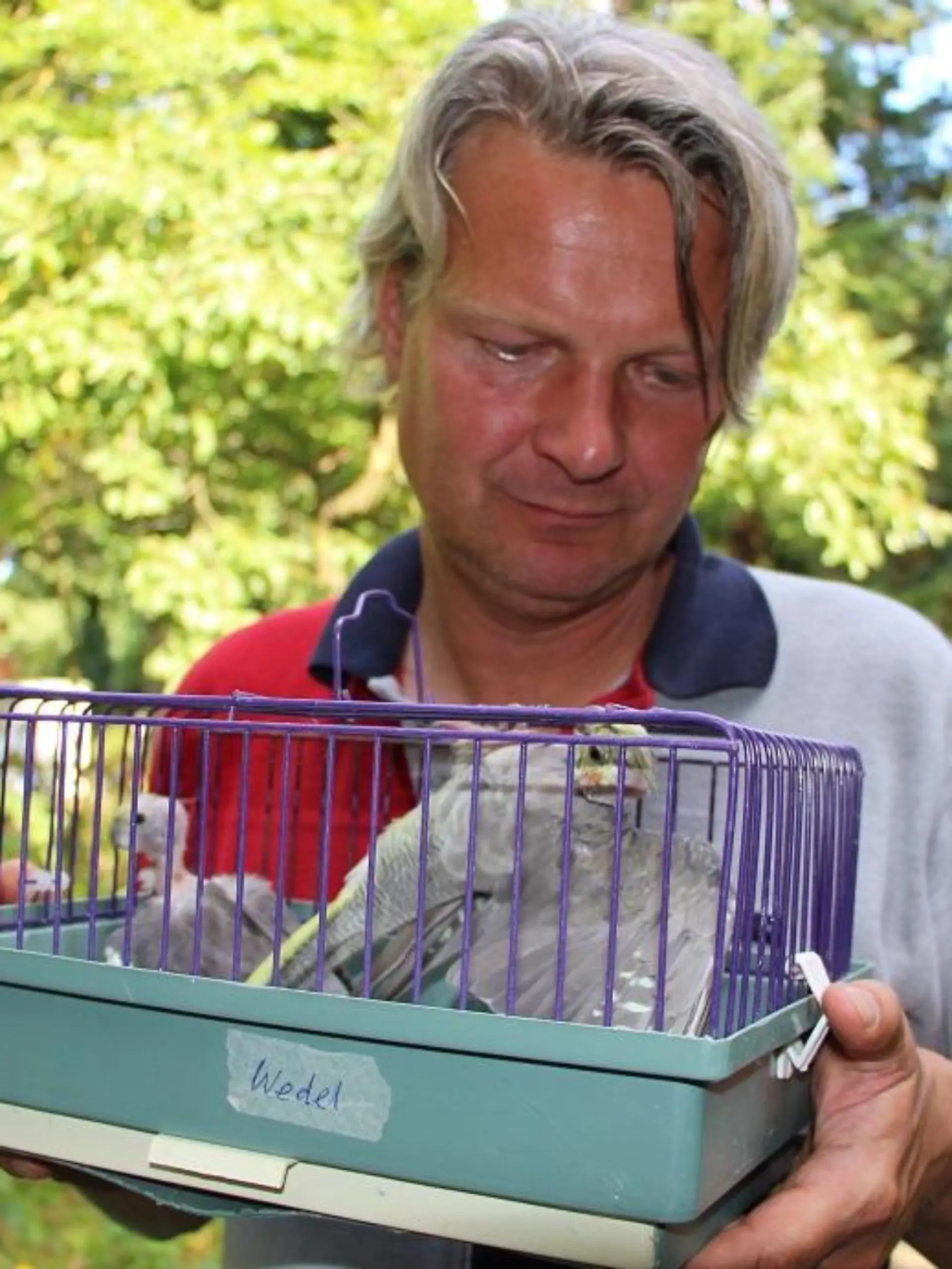 Tiere in Not - VOX-DOCMA TV-CHRISTIAN NEUMANN - 25 kranke Wellen- und Nymphensittiche suchen dringend einen neue Bleibe. Ein Fall fr hundkatzemaus-Tierschutzexperte Frank Weber