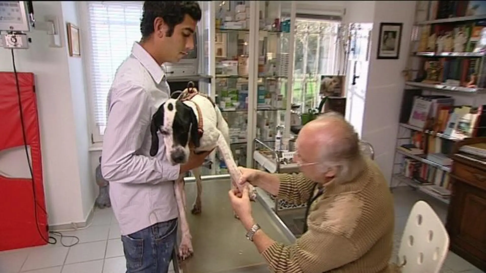Sprechstunde Dr. Wolf untersucht Max