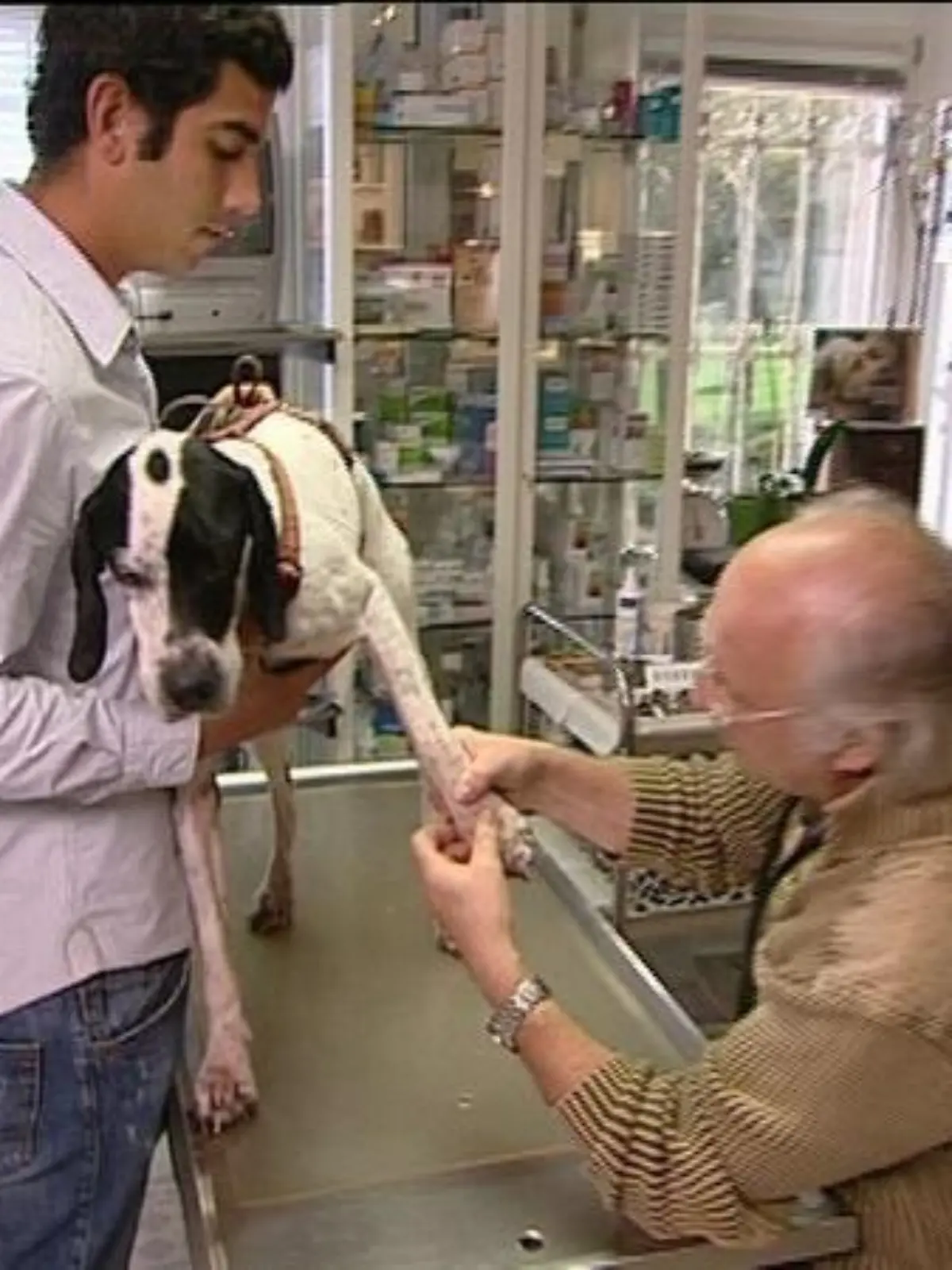 Sprechstunde Dr. Wolf untersucht Max