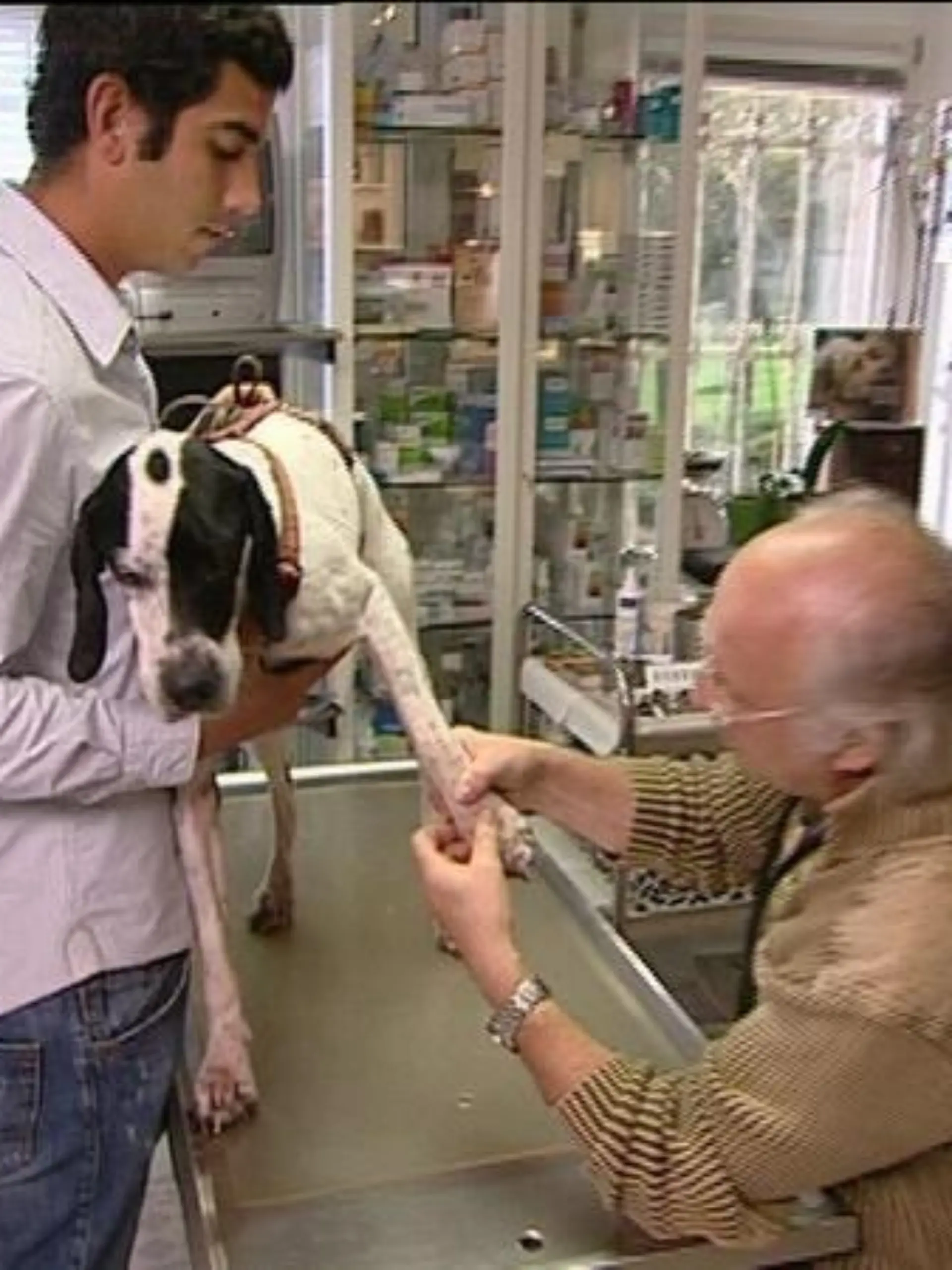 Sprechstunde Dr. Wolf untersucht Max