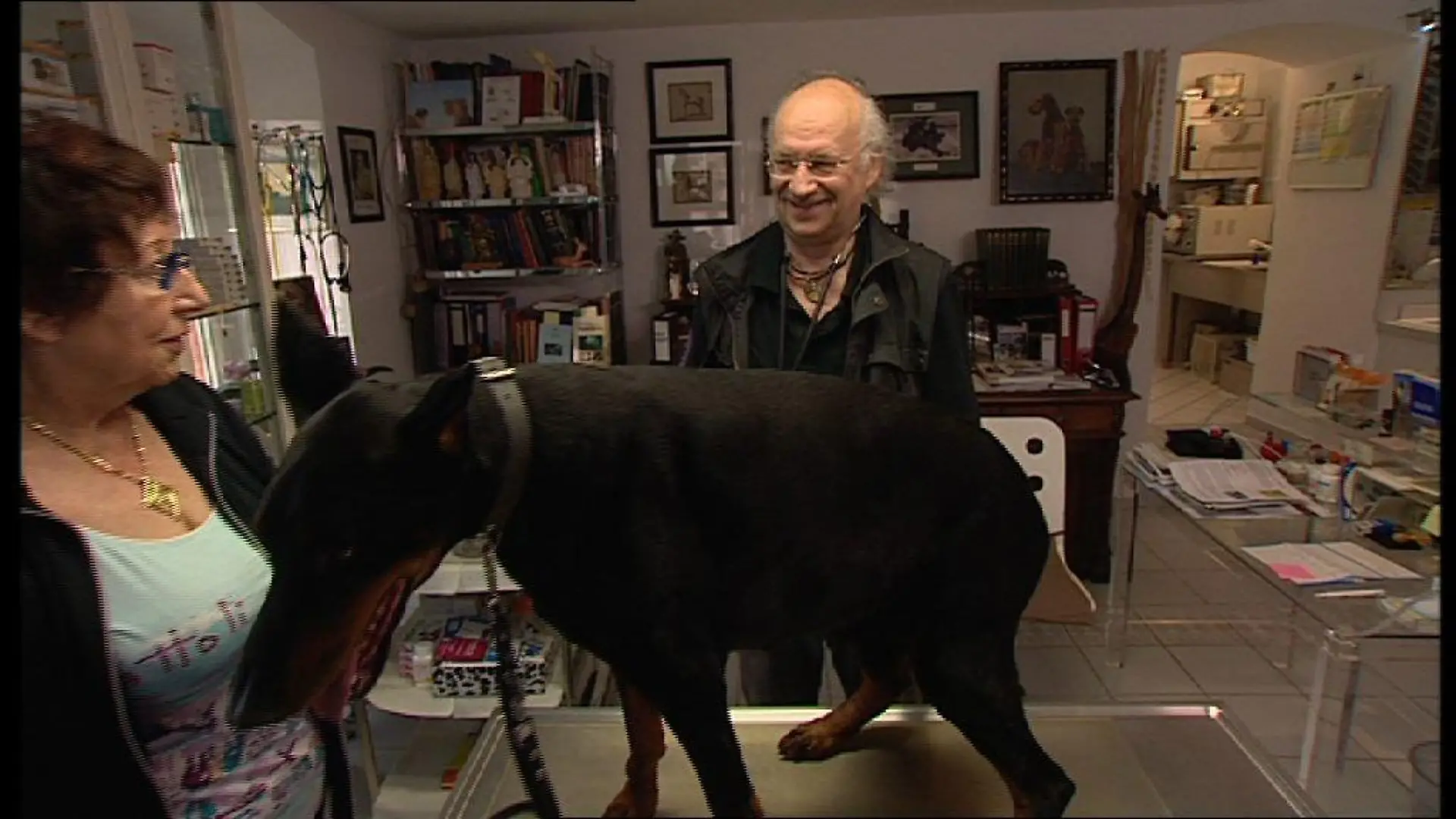 Sprechstunde1 - Hund Phlegmone