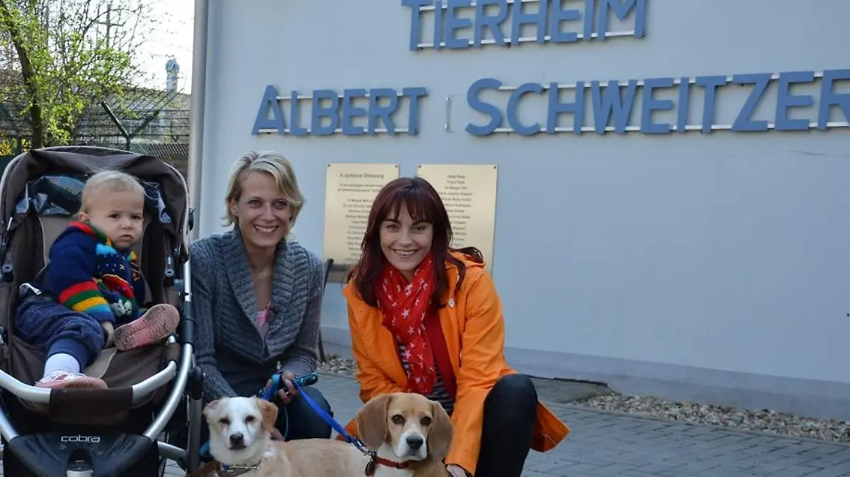 Tiergeschichten1 - VOX-DOCMA TV-JULIA PANZER - Diana Eichhorn hilft bei der Suche nach einem passenden Tierheimhund