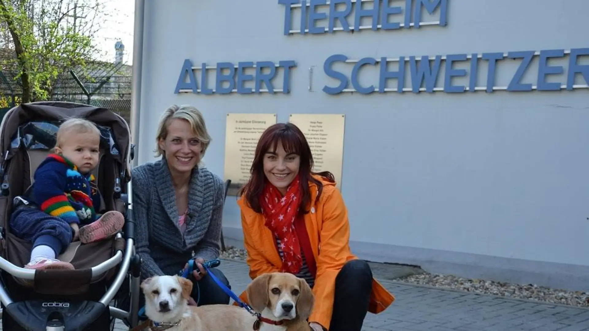Tiergeschichten1 - VOX-DOCMA TV-JULIA PANZER - Diana Eichhorn hilft bei der Suche nach einem passenden Tierheimhund