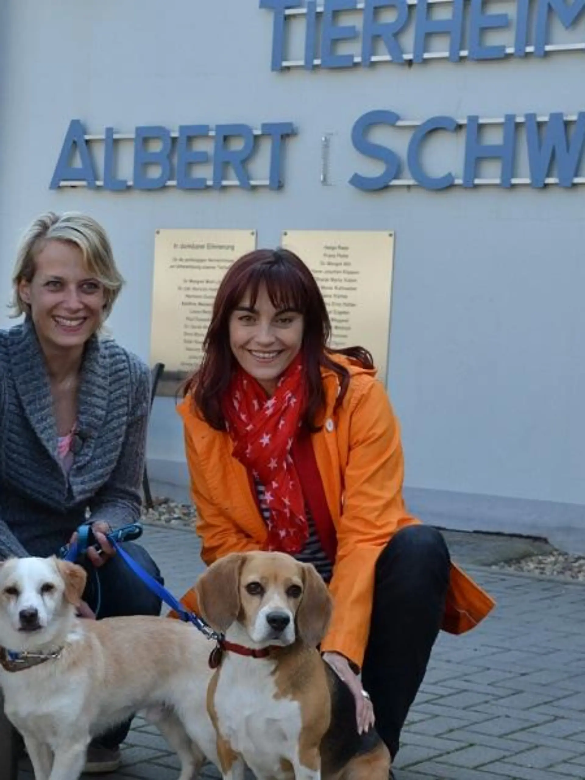 Tiergeschichten1 - VOX-DOCMA TV-JULIA PANZER - Diana Eichhorn hilft bei der Suche nach einem passenden Tierheimhund