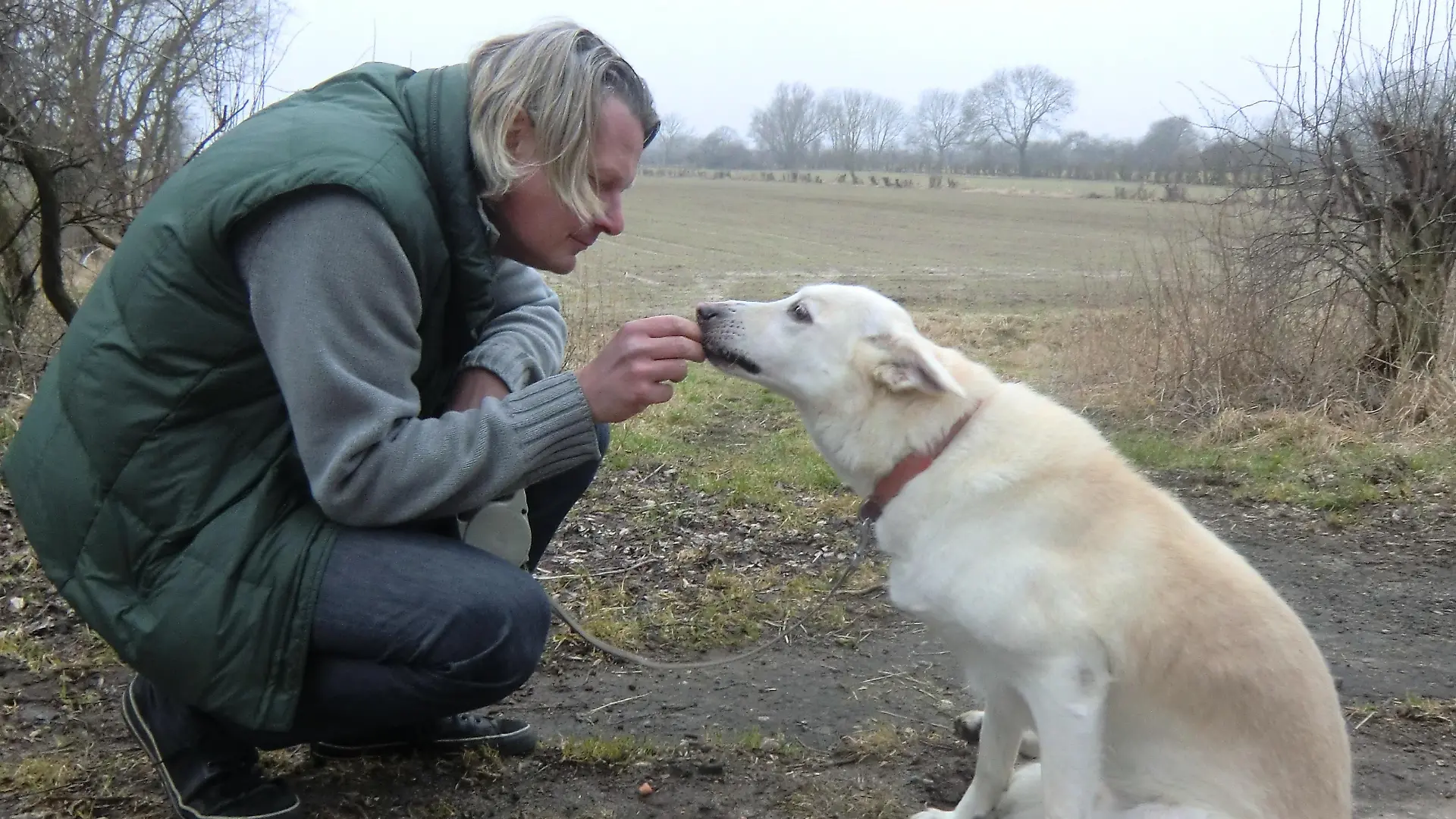 Tiere in Not 1 - Allgemein - Frank und Shiva