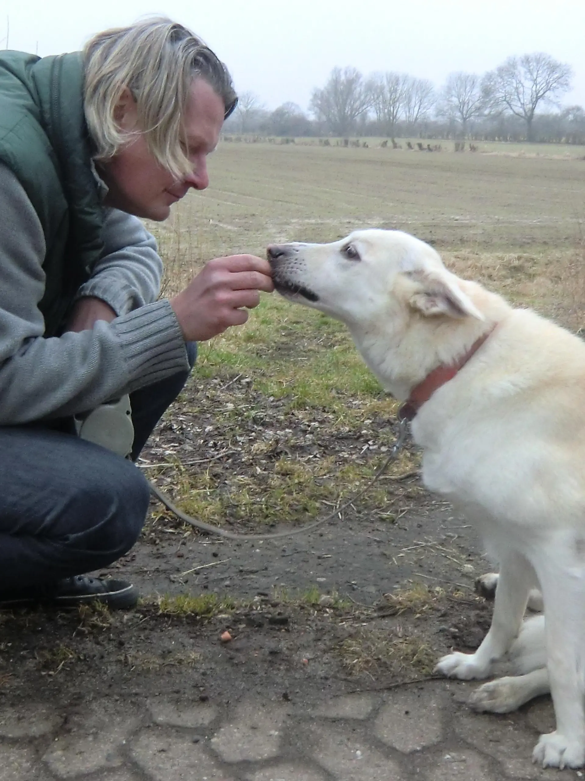Tiere in Not 1 - Allgemein - Frank und Shiva
