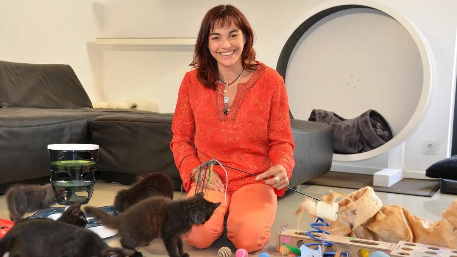 Tiergeschichten2 - VOX-DOCMA TV-JULIA PANZER - Diana testet Katzenspielzeug
