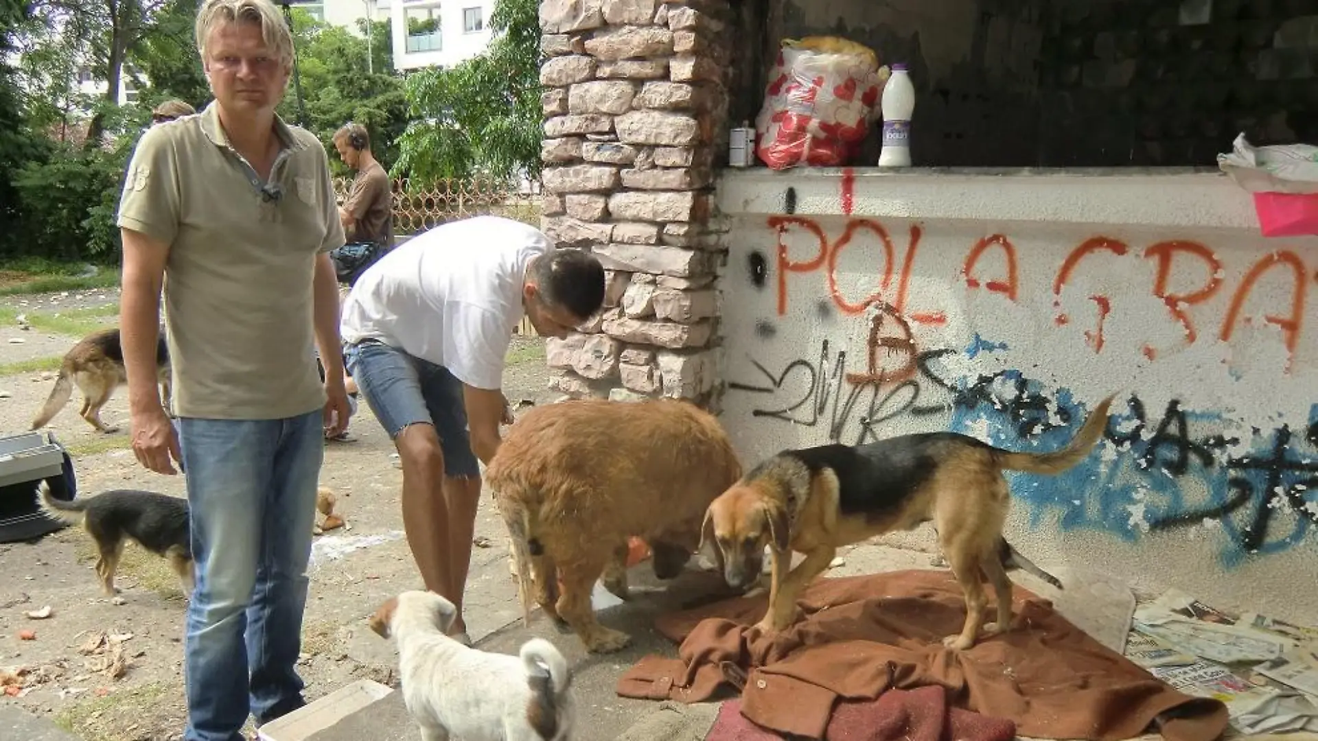 Tiere in Not - VOX-DOCMA TV - Frank Weber in Montenegro