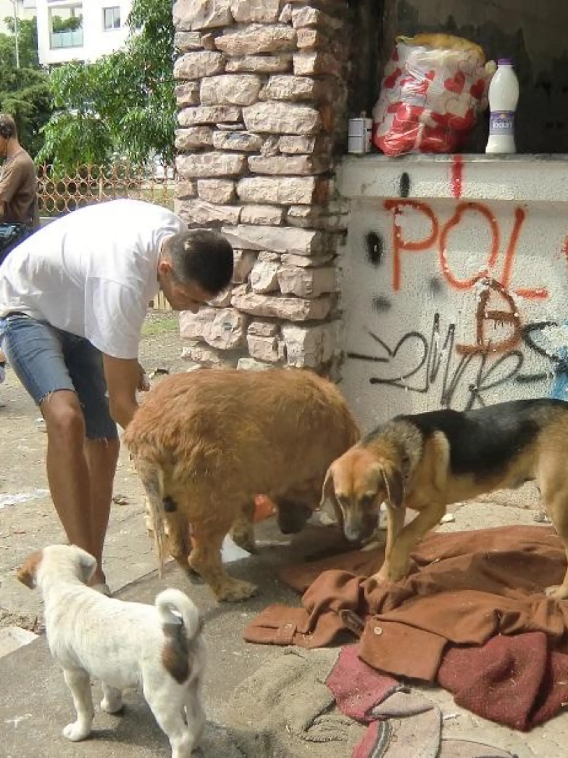 Tiere in Not - VOX-DOCMA TV - Frank Weber in Montenegro
