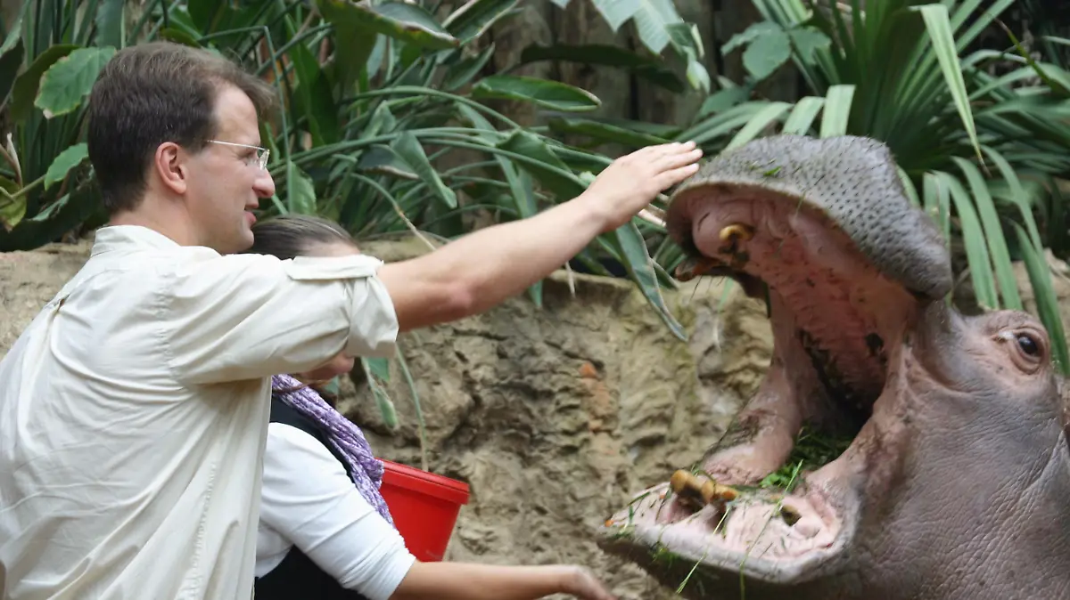 Kurator vom Loro Parque Teneriffa, Matthias Reinschmidt mit dem ältesten Nilpferd Deutschlands.