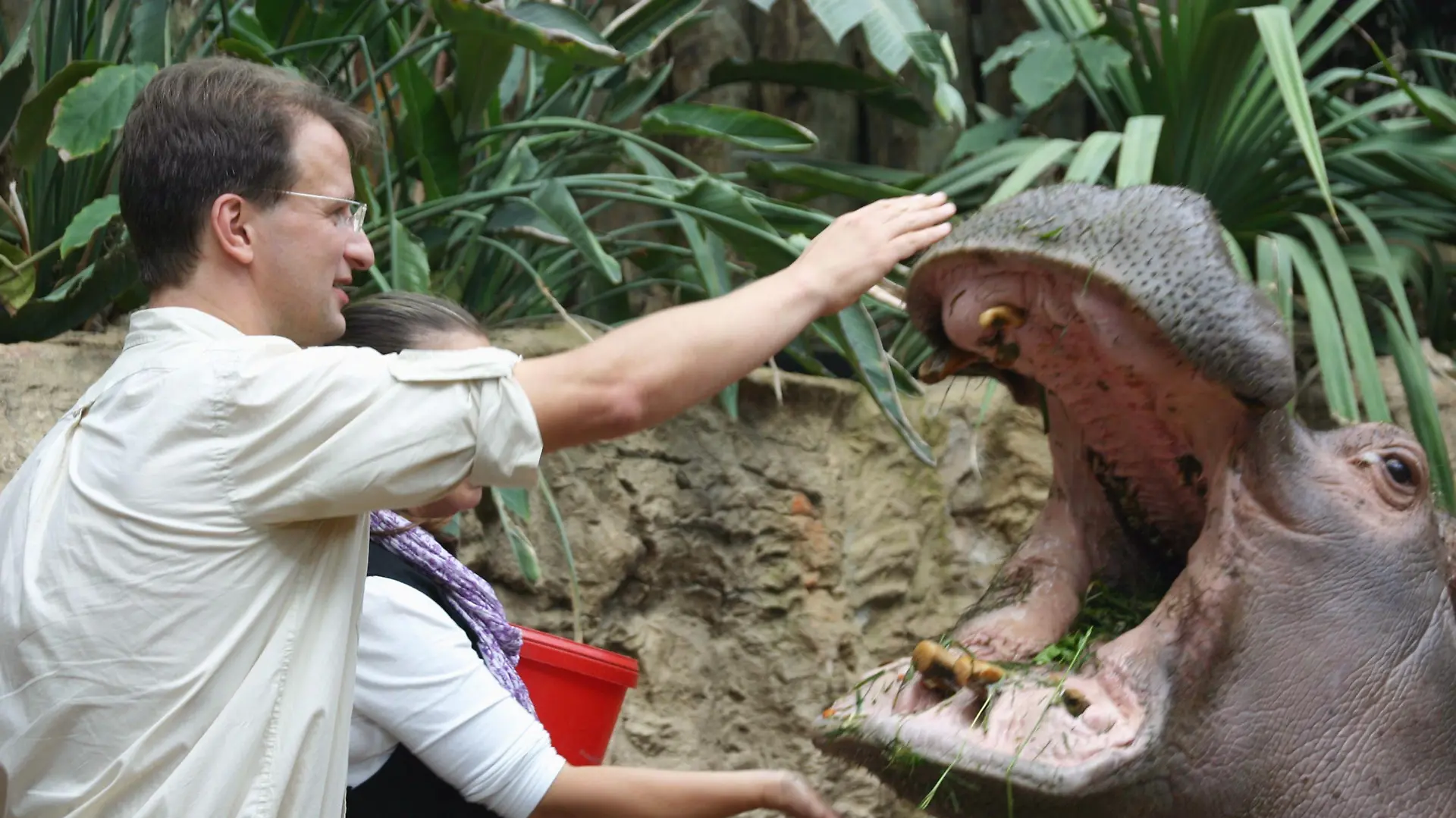 Kurator vom Loro Parque Teneriffa, Matthias Reinschmidt mit dem ältesten Nilpferd Deutschlands.