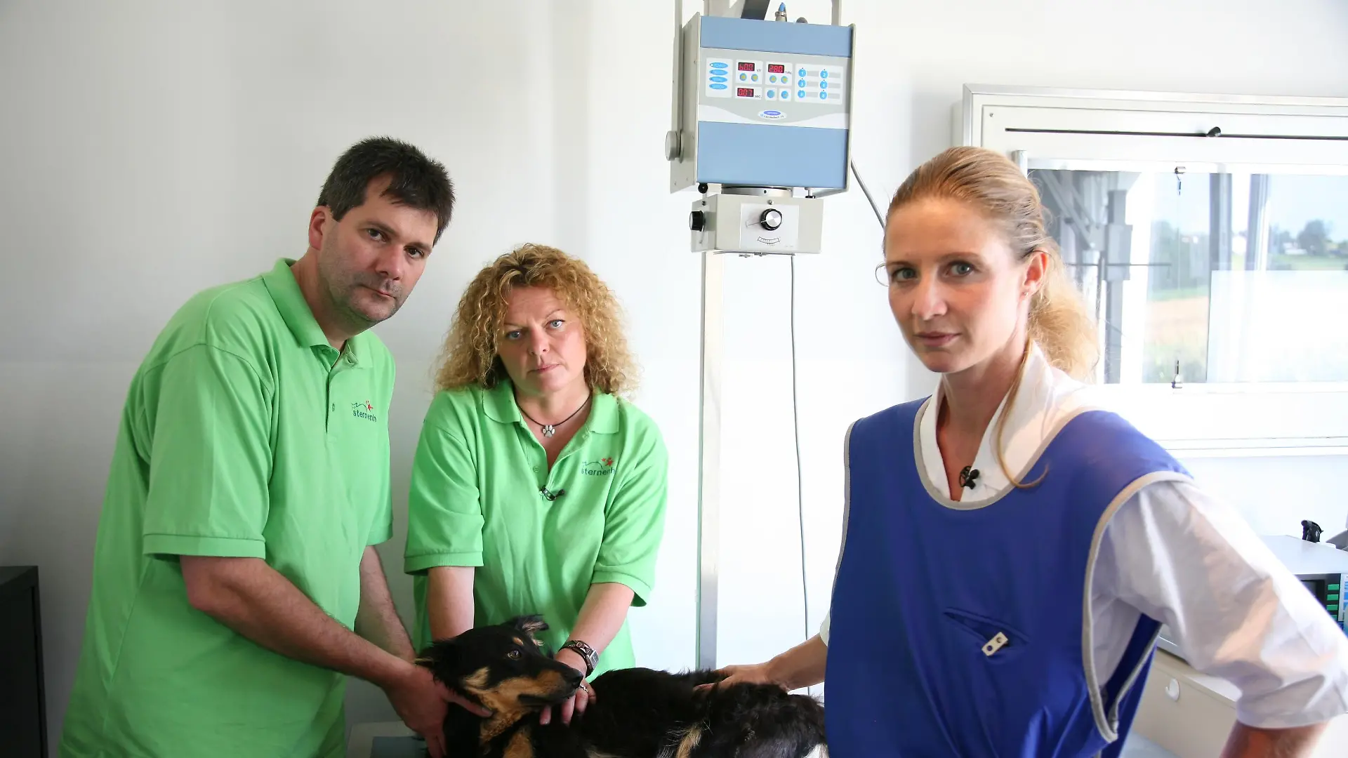 tiergeschichten3 a2