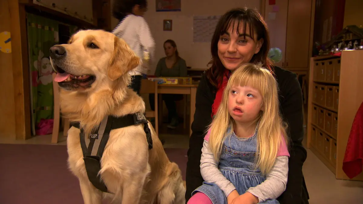 Tiergeschichten2 - Diana und Therapiehund