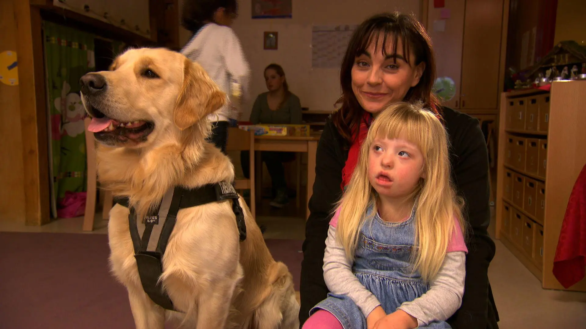 Tiergeschichten2 - Diana und Therapiehund