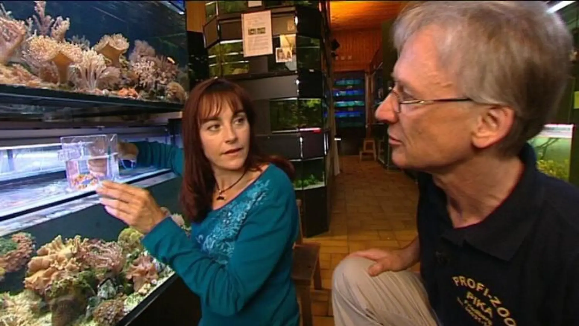 tiergeschichten2 diana eichhorn