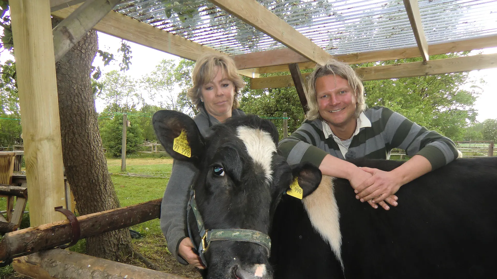Vorschau - Tiere in Not - Blinde Kuh neu