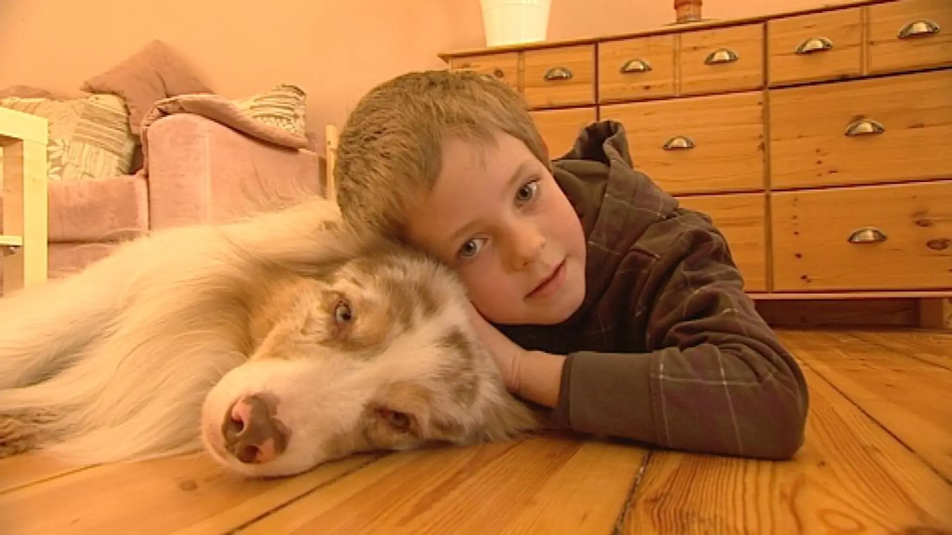 Vorschau2 - Tieranwalt - Sohn Tom und Hund Quix