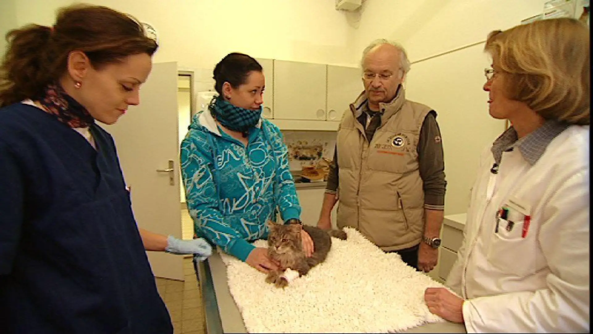 Sprechstunde 1 - Dr. Wolf in Uni-Klinik - Katze Lucky Lebershunt