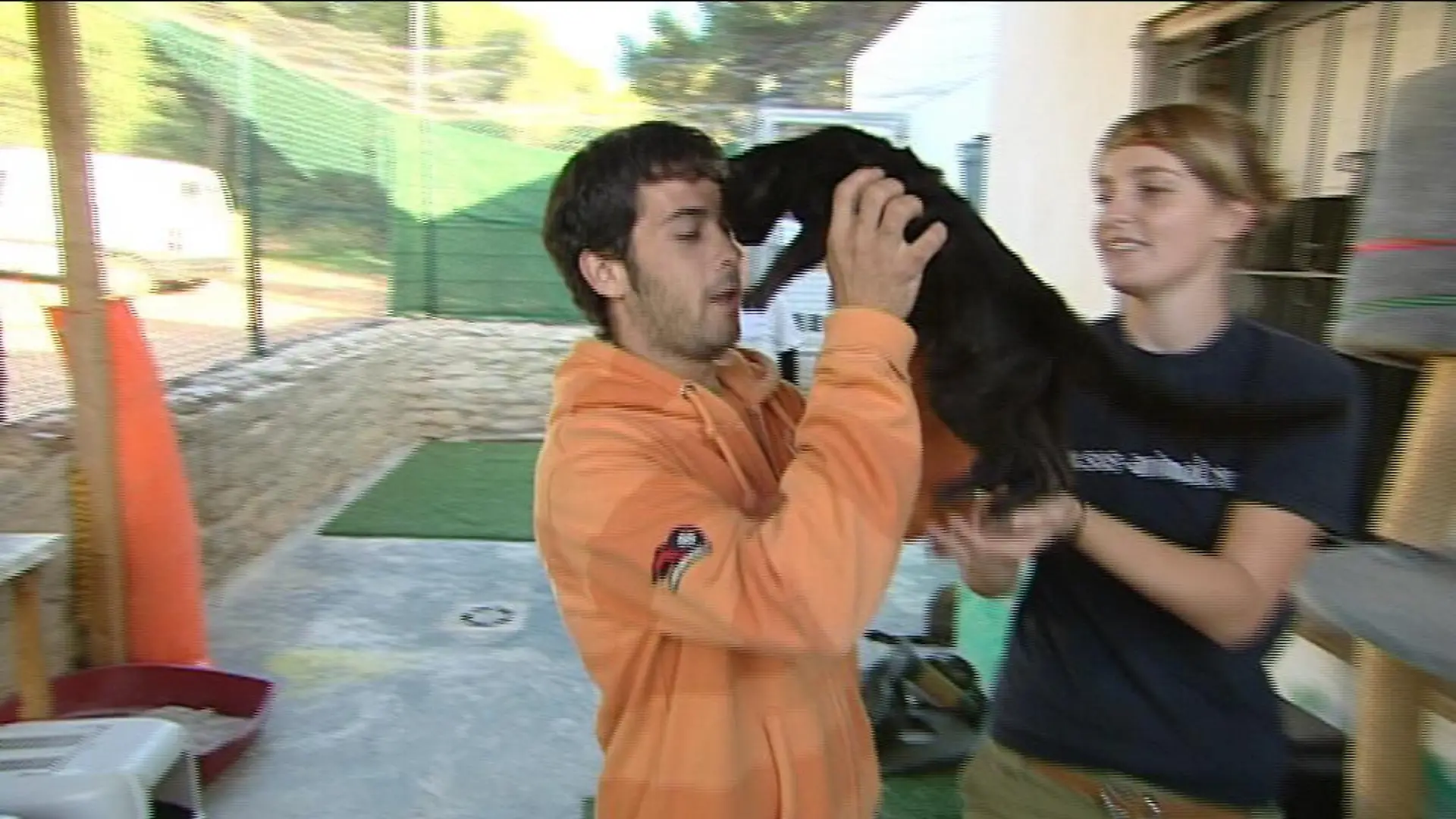 Tierschützer auf Mallorca b