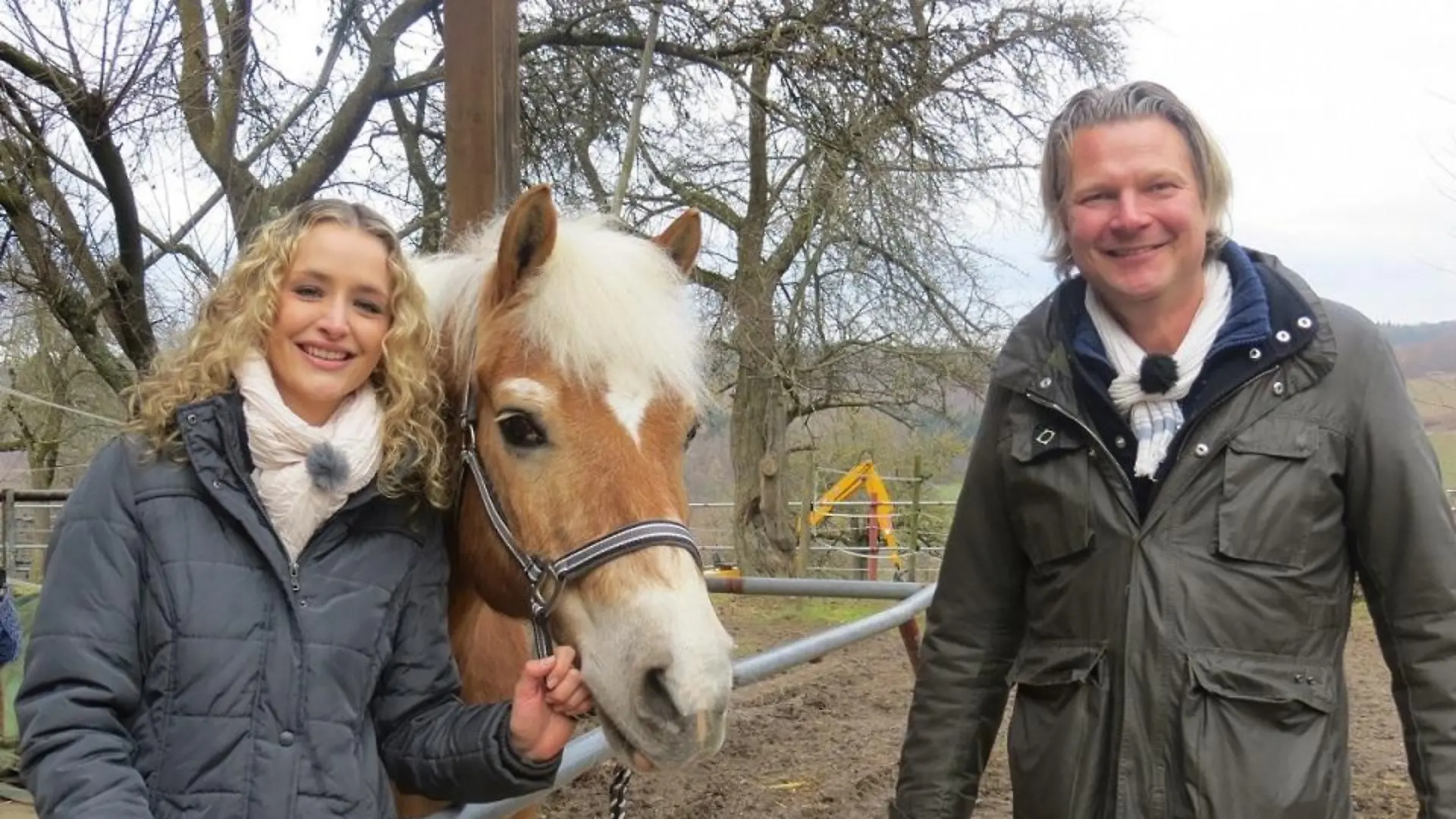 Tiere in Not - VOX-DOCMA TV - Frank Weber und Besitzerin Nicole Hofmann mit Haflinger Heiko