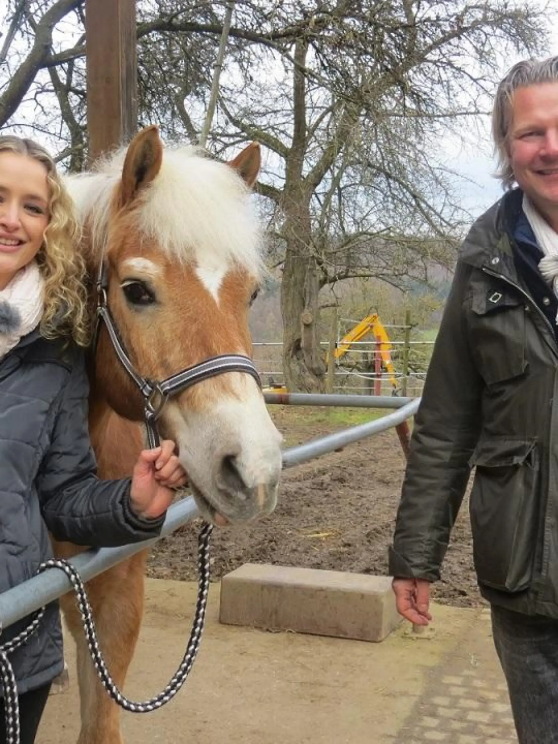 Tiere in Not - VOX-DOCMA TV - Frank Weber und Besitzerin Nicole Hofmann mit Haflinger Heiko