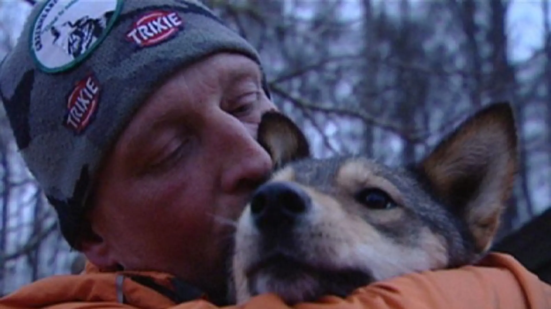 Tiergeschichte 3 - Bild 1 - Volker und Husky