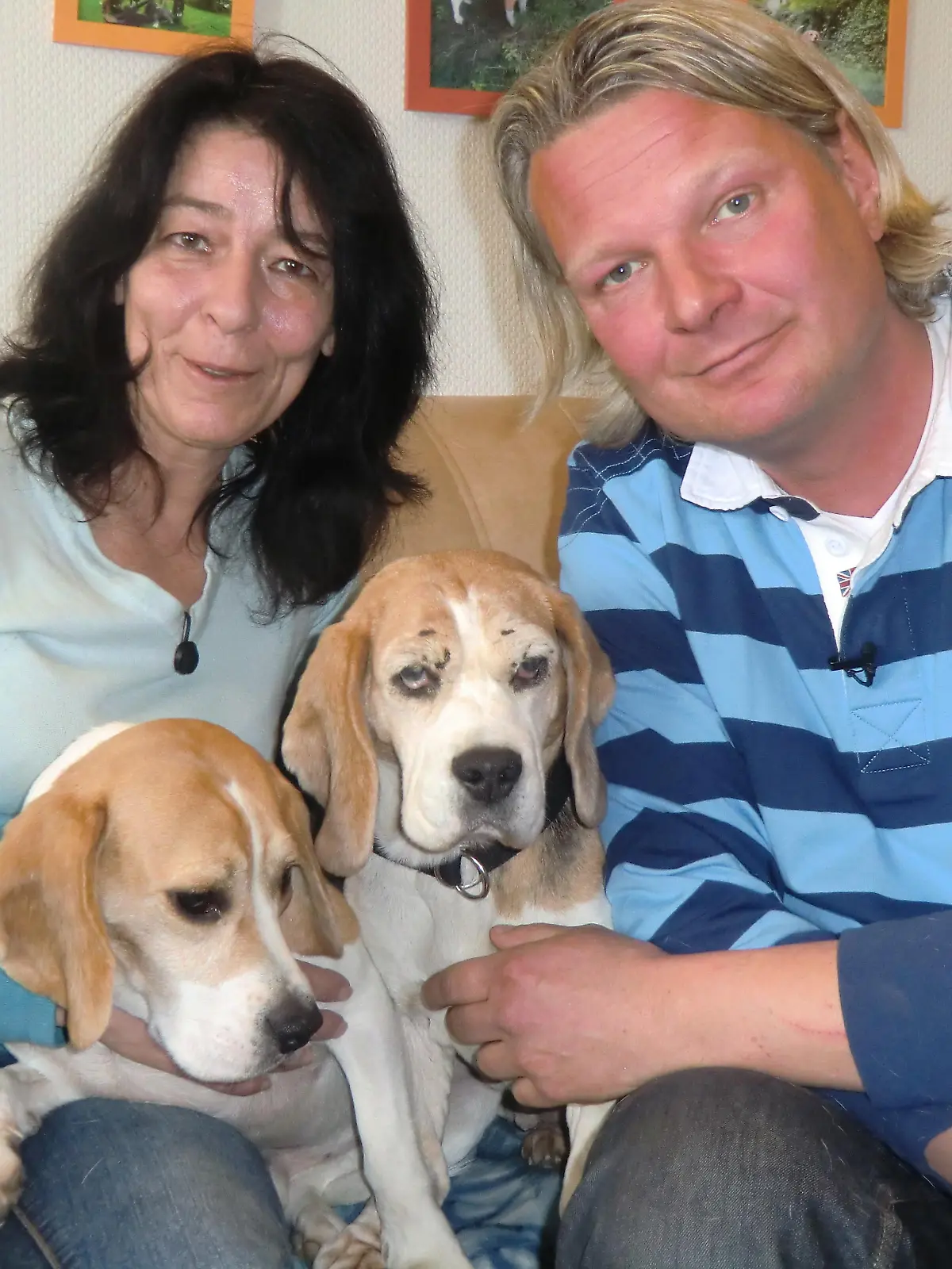 Tiere in Not 2 - Gebrmaschinen - Beagle Bea und Lukas