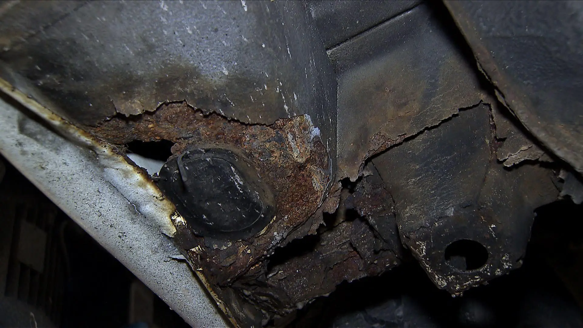 Rost