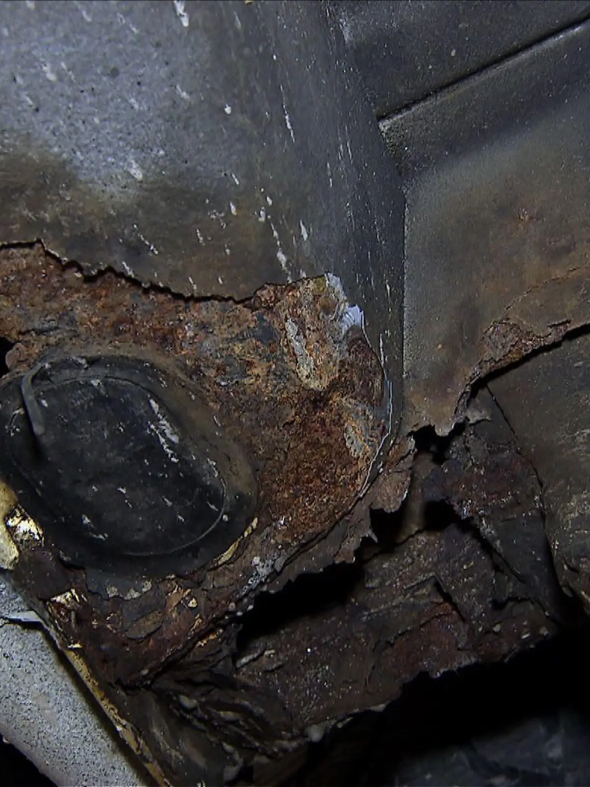 Rost