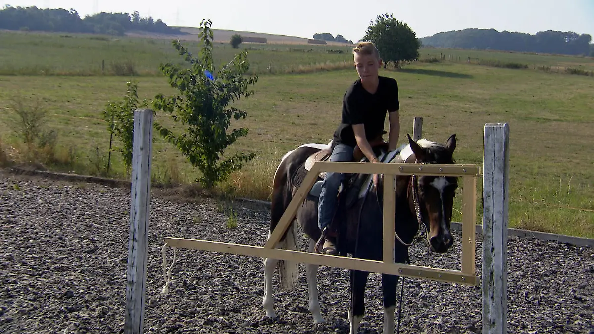Mick und King - Der Traum vom Westernreiten VOX