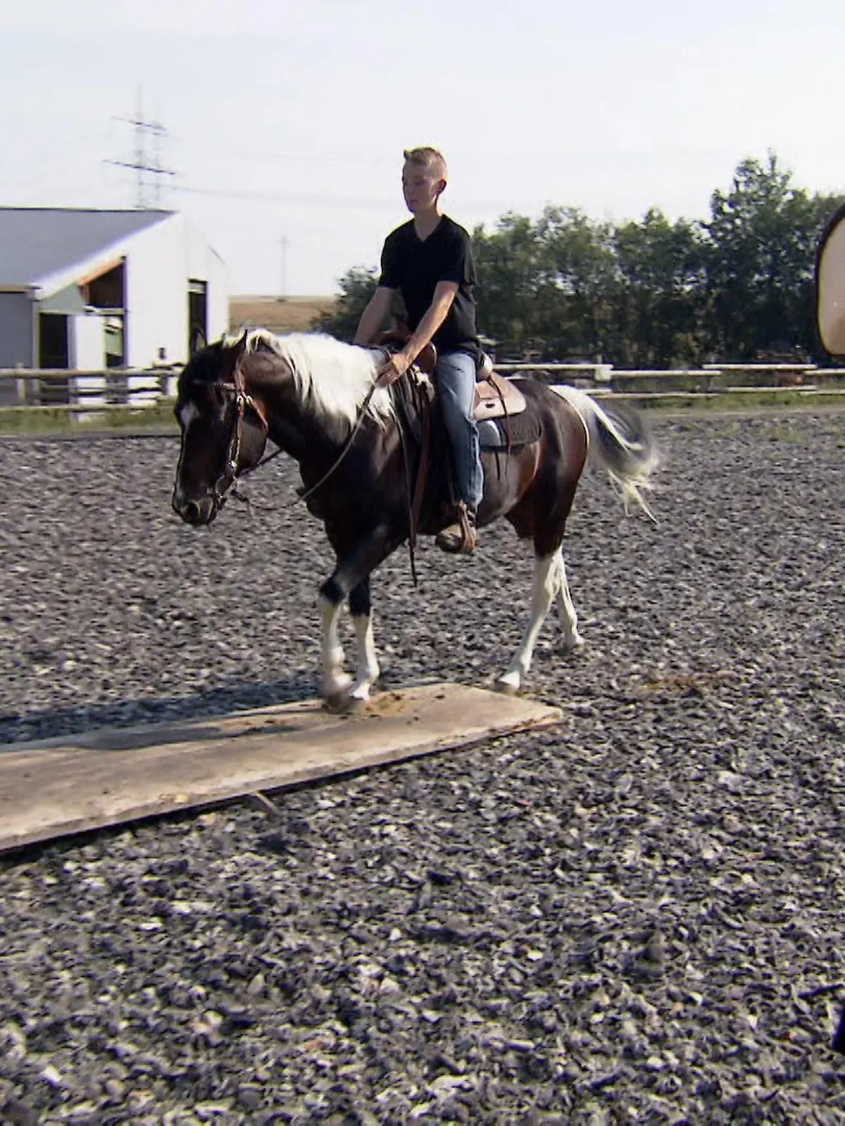 Mick und King - Der Traum vom Westernreiten VOX 