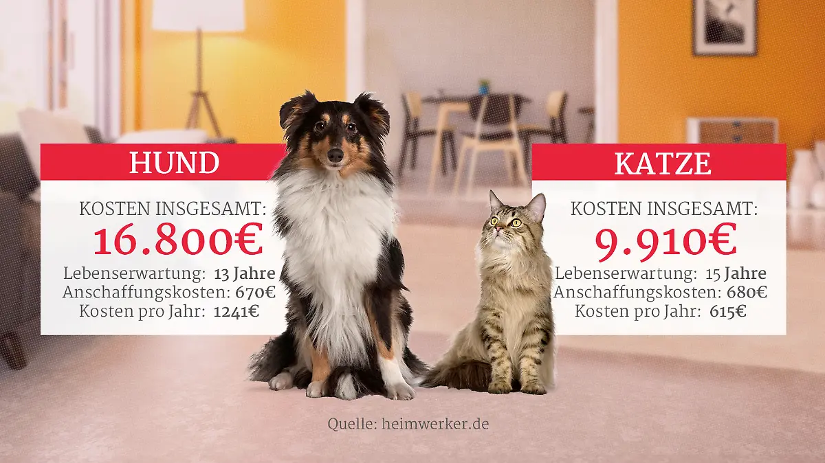 Gesamtkosten für Hunde und Katzen als Haustier