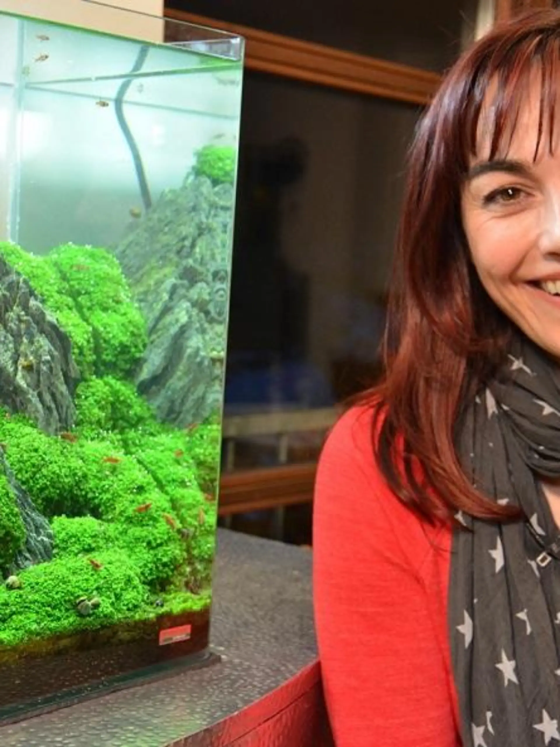 Tiergeschichten2 - VOX-DOCMA TV-CHRISTIAN NEUMANN - Diana Eichhorn bestaunt Aquascaping-Aquarium mit nachempfundener Gebirgslandschaft