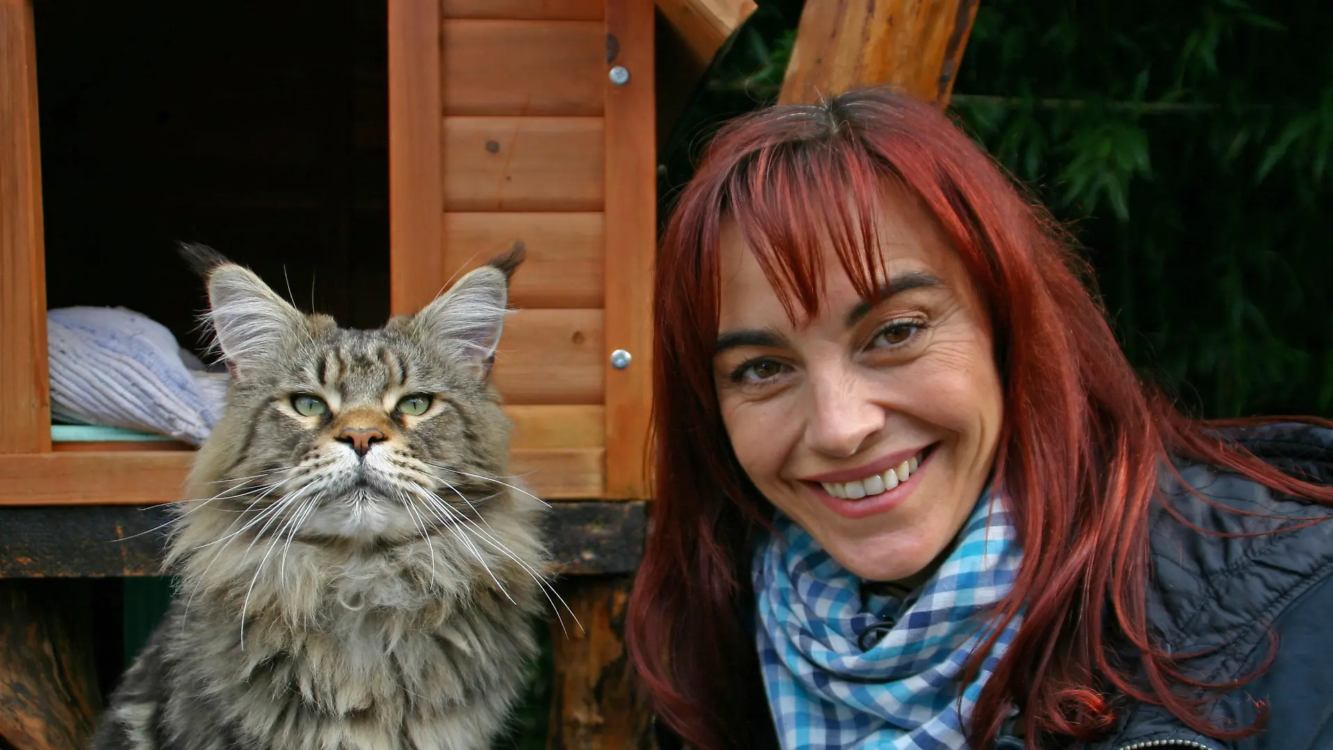 Tiergeschichten2 - Diana und Maine Coon