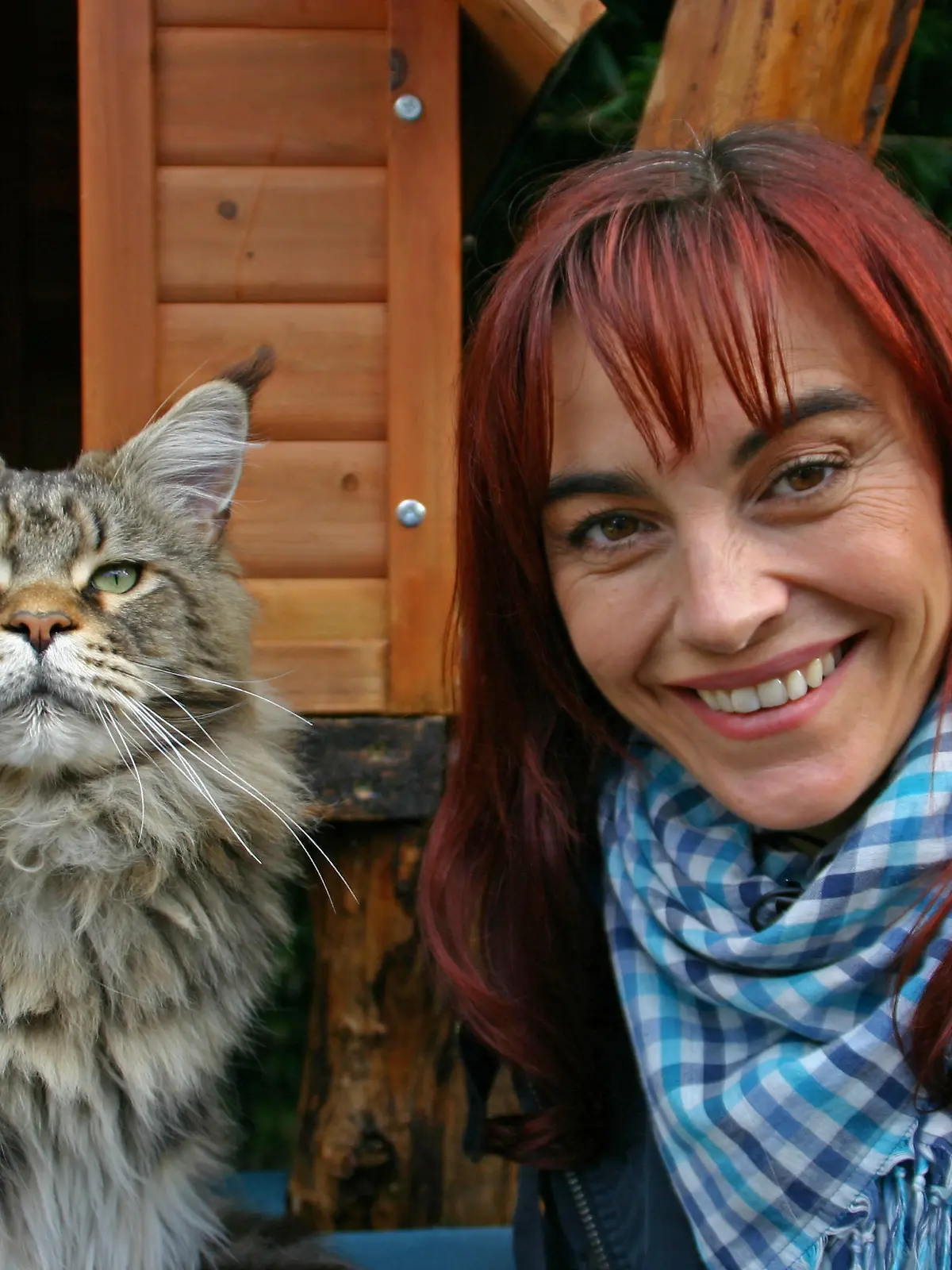 Tiergeschichten2 - Diana und Maine Coon