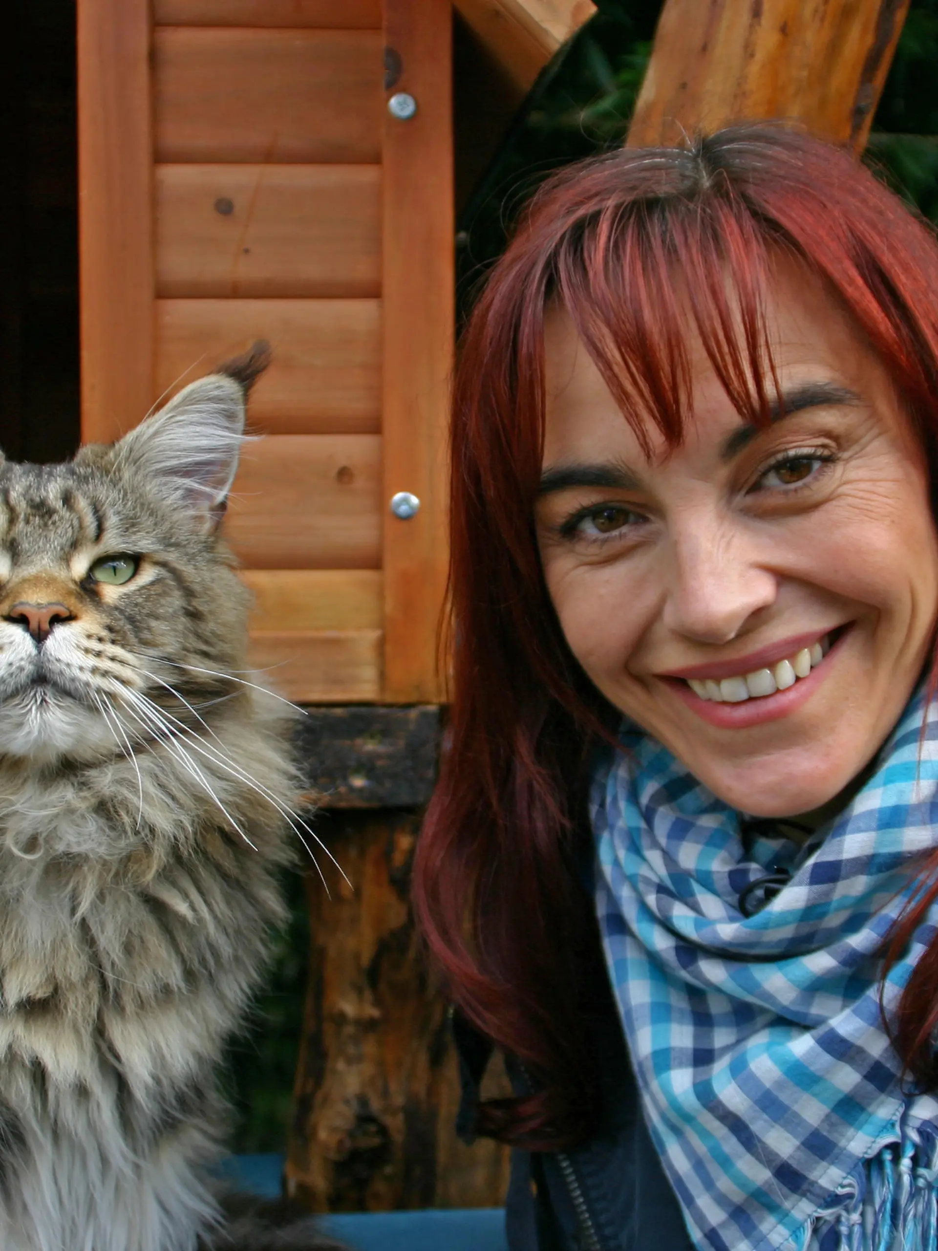 Tiergeschichten2 - Diana und Maine Coon